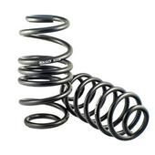 Lowering Springs