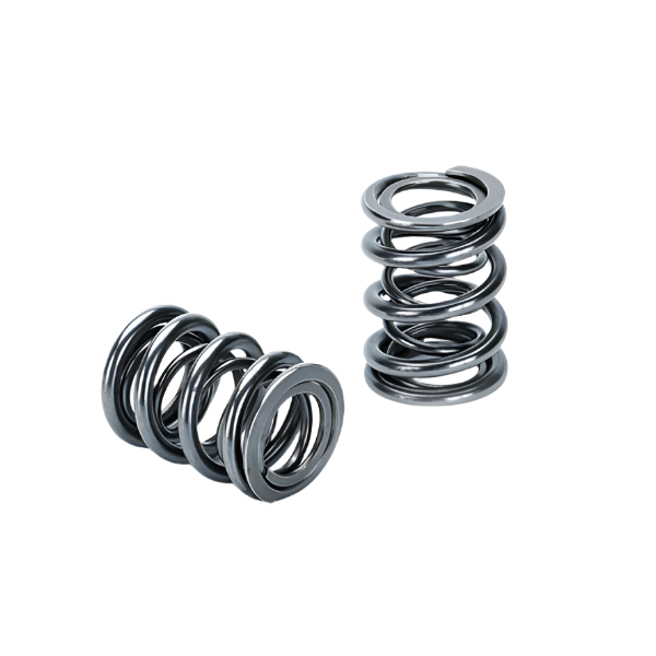 Supertech Toyota 4AGE 16V Dual Valve Spring - Set of 16 – Black