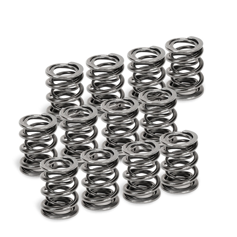 Supertech VW/Audi 2.7T 30V 6cyl Single & Dual Valve Spring Kit