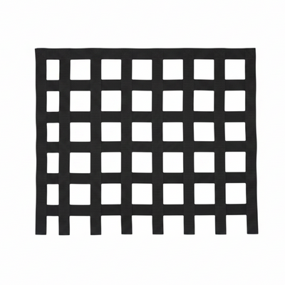 Window Nets