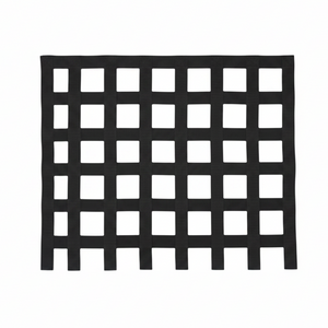RaceQuip Black Ribbon Window Net Racequip