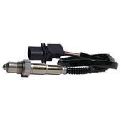 Oxygen Sensors