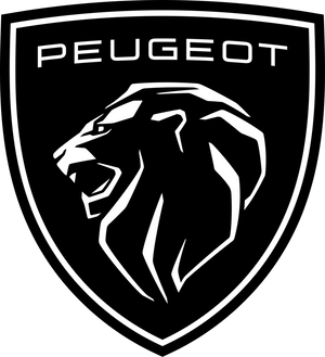 Peugeot 404 Parts and Accessories aftermarket parts