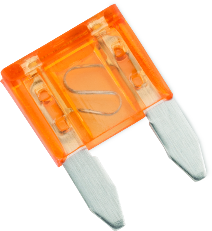 BKM152442-BikeMaster 5Piece 5A Replacement Mini Blade Fuse-Light Accessories and Wiring-Bike Master