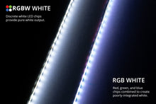 Load image into Gallery viewer, DIODD0442-Diode Dynamics RGBW Multicolor Underglow LED Kit-Light Strip LED-Diode Dynamics