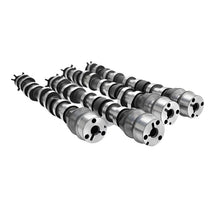 Load image into Gallery viewer, CCA191100-COMP Cams Camshaft Set F50Cy Nsr-Na2H-1-Camshafts-COMP Cams