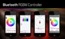 Load image into Gallery viewer, Diode Dynamics - Bluetooth RGBW M8 Controller 1ch-Light Accessories and Wiring-Diode Dynamics