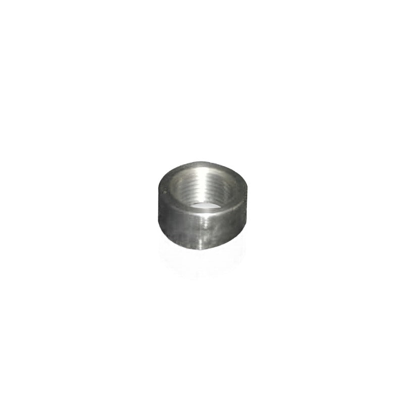 SSWO2SS-Stainless Works O2 Bung-Oxygen Sensors-Stainless Works