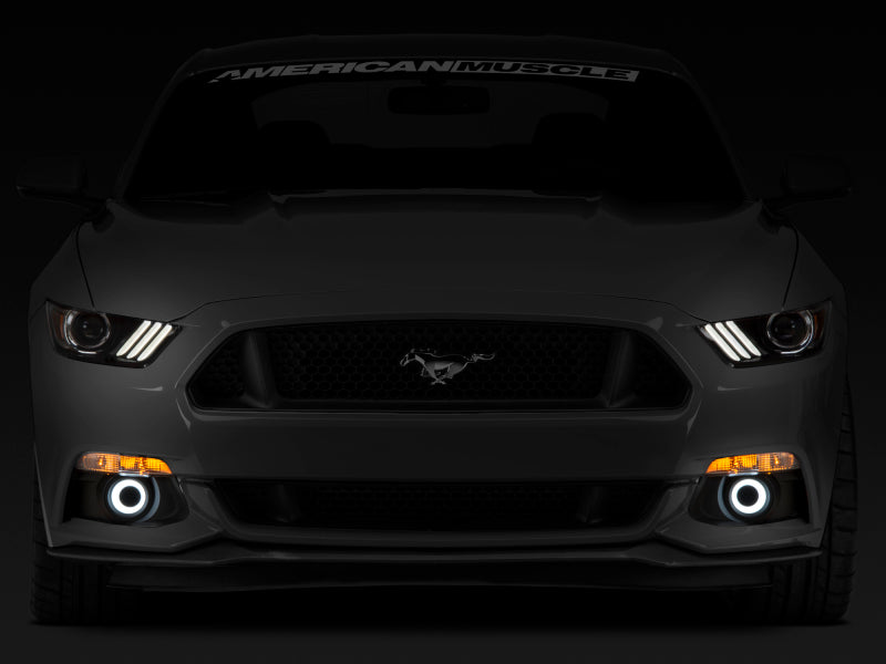 RAX398032-Raxiom LED Halo Fog Lights (15-17 Mustang w/ Factory Fog Lights) 398032-Headlights-Raxiom