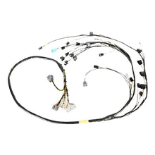 Load image into Gallery viewer, RYWRY-K24-MILSPEC-Rywire Honda K24 Mil-Spec Harness w/K24 Knock/Crank Sensor (D/S Only / Note Injectors/VSS on PO)-Wiring Harnesses-Rywire