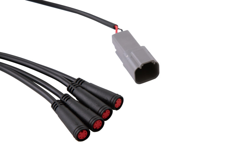 Diode Dynamics RGBW 24-Key M8 RF Controller-Light Accessories and Wiring-Diode Dynamics