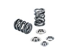 Load image into Gallery viewer, SPTSPRK-TS1015-RB25-Supertech Nissan SKYLINE RB25 DOHC 24V (w/Solid Lifters) Dual Valve Spring Kit-Valve Springs, Retainers-Supertech