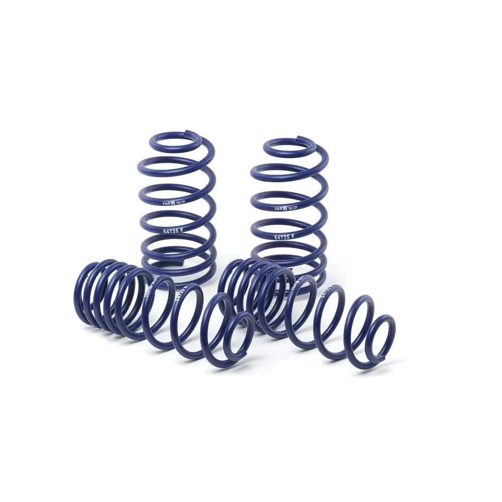 H&R 54711-55 OE Sport Spring kit