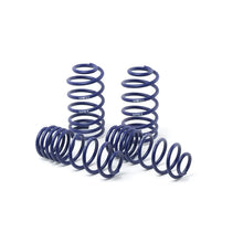 Load image into Gallery viewer, H&amp;R 54711-55 OE Sport Spring kit