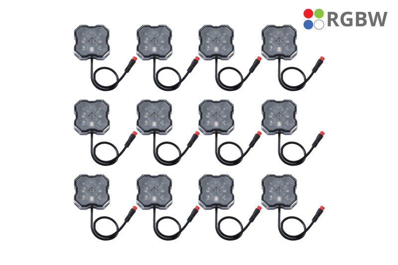 DIODD7749C-Diode Dynamics RGBW Rock Light Installer Magnet Mount Kit w/Controller (12-pack)-Light Accessories and Wiring-Diode Dynamics