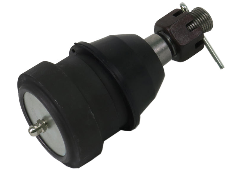 Whiteline-Whiteline Plus 79-93 Ford Mustang Front Lower Control Arm Ball Joint