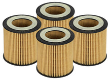 Load image into Gallery viewer, aFe aFe Pro GUARD D2 Oil Filter 06-19 BMW Gas Cars L6-3.0T N54/55 - 4 Pack