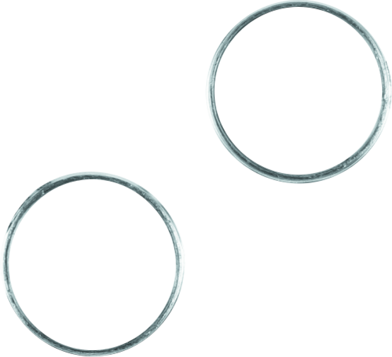 TWP043307-Twin Power 84-Up Evo BT M8 86-Up XL Exhaust Gaskets Replaces 65324-83 Xtreme Performance Pr-Gasket Kits-TwinPower