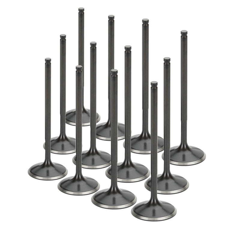 Supertech Nissan RB25DET NEO (w/Hydraulic Lifters) Black Nitrided Intake Valve - +1mm OS Set-Valves-Supertech