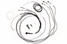 Load image into Gallery viewer, HALHT-060300-Haltech Semi Terminated Harness for IC-7 Display Dash-Wiring Connectors-Haltech