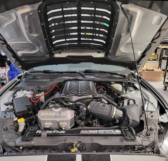 Rear View of Ford Mustang Shelby GT350 with Type-GT5 Carbon Fiber Hood