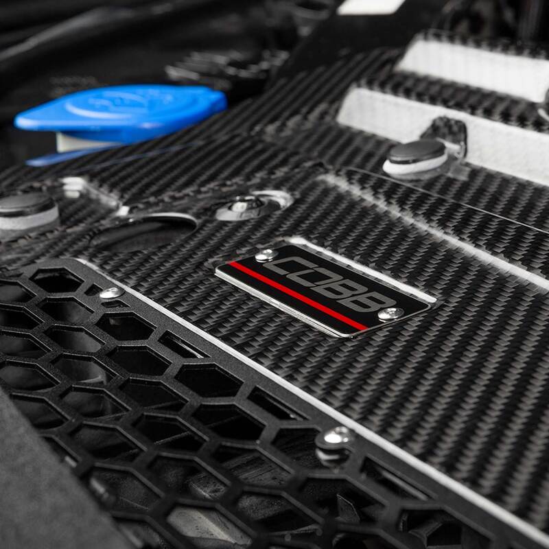 F-150 3.5 EcoBoost carbon shroud