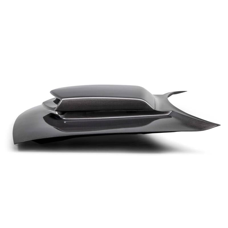 Anderson Type-HM Carbon Fiber Hood 2015-2023 Dodge Challenger