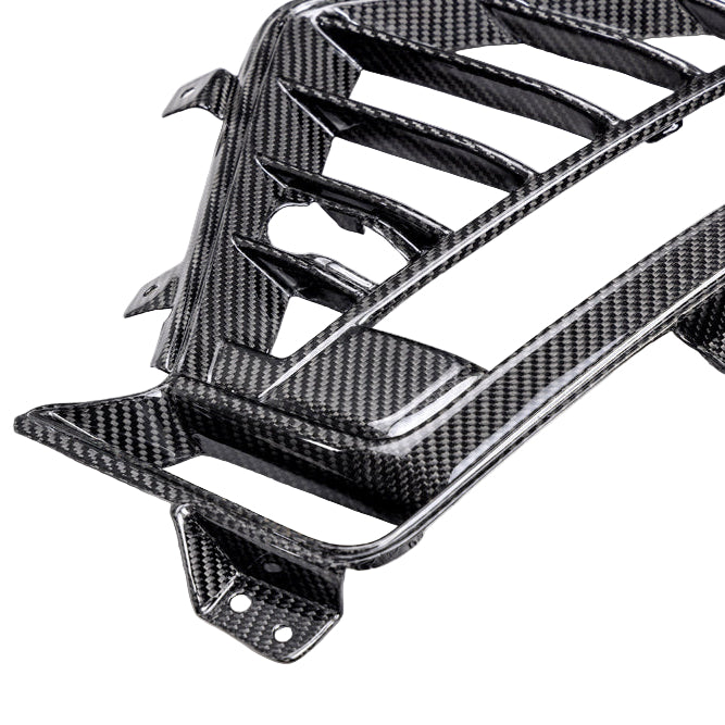 Anderson Composites 22-24 Cadillac CT5 Blackwing Carbon Side