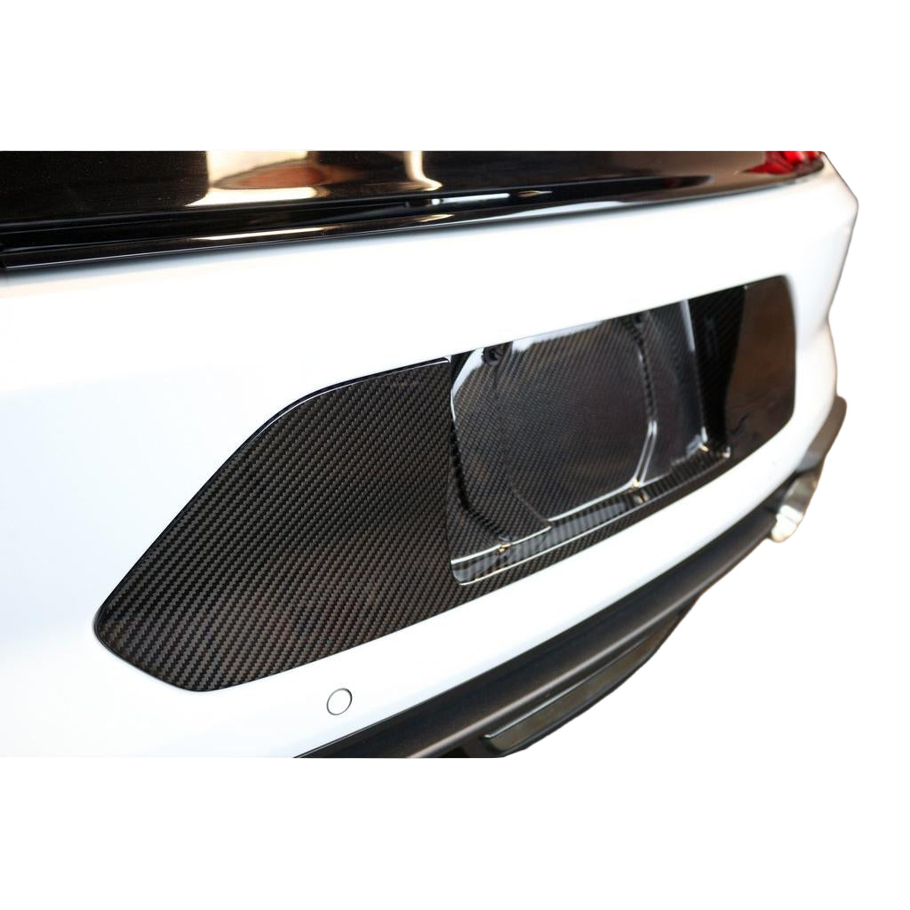 APR Performance Ford Mustang S550 License Plate Backing 2018-2023