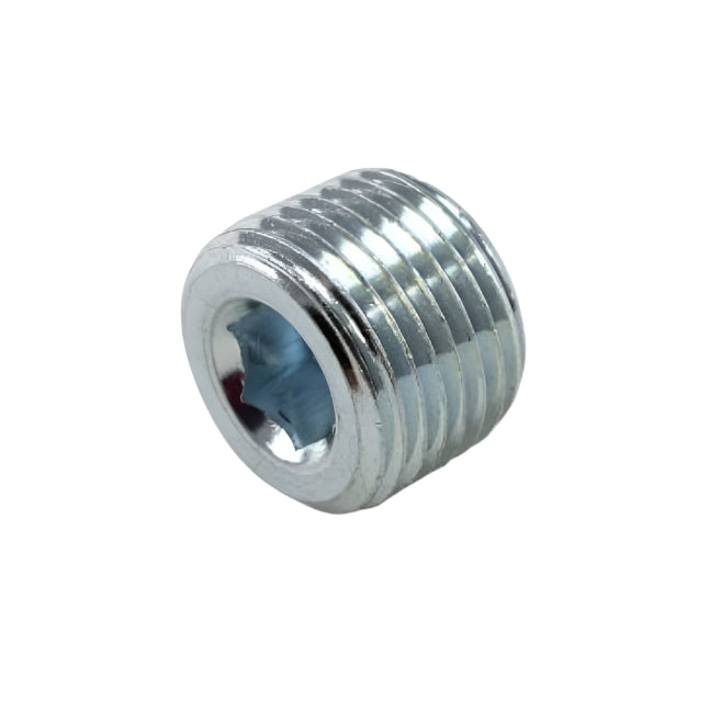 Killer B 1/2in NPT Chrome Plated Steel Plug