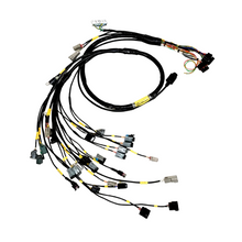 Load image into Gallery viewer, rywire-k-series-naturally-aspirated-whaltech-elite-1500-engine-harness-w4-inj-no-emapboost-rywire