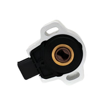 Load image into Gallery viewer, BXIM-10401-V2