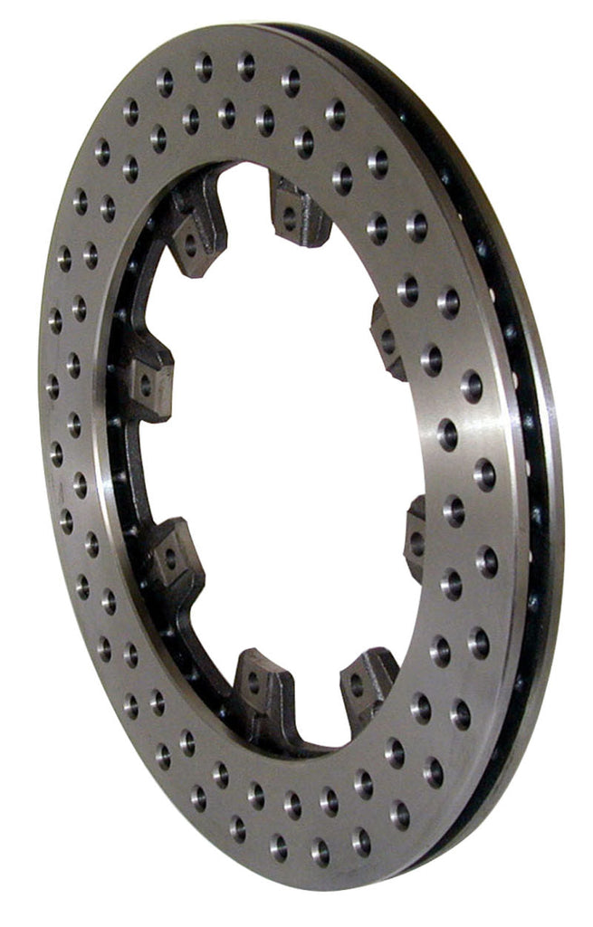Wilwood Rotor-UL32 Vented Iron-Drilled 12.19 x .810 - 8 on 7.00in - Black Ops Auto Works