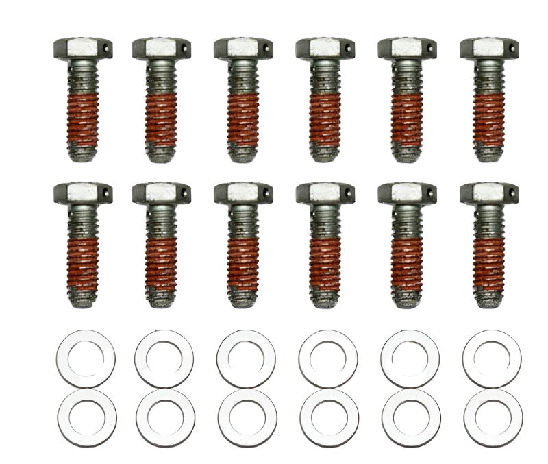 Wilwood Bolt Kit - 5/16-18 x 1.00 LG - 12 pk - Black Ops Auto Works