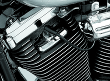 Load image into Gallery viewer, KUR8315-Kuryakyn Spark Plug &amp; Head Bolt Covers Evolution Motors &amp; 86-03 XL Models-Bolts-Kuryakyn