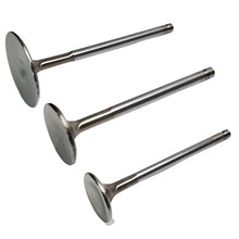 Load image into Gallery viewer, Photo - Primary