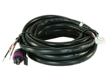 Load image into Gallery viewer, AEM Replacement Main Harness for X-Series Pressure Gauges - Black Ops Auto Works