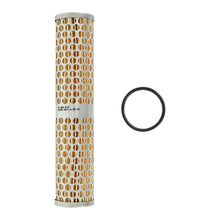 Load image into Gallery viewer, AEM Universal High Volume Fuel Filter Element AEM AEM25-202