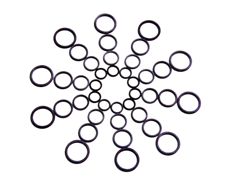 Aeromotive Fuel Resistant Nitrile O-Ring - AN-06 (Pack of 10) - Aeromotive 15621