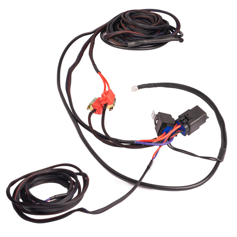 Aeromotive Wiring Harness Kit - Dual Fuel Pump - Aeromotive 16312