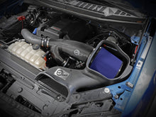 Load image into Gallery viewer, aFe 17-20 Ford F-150/Raptor Track Series Carbon Fiber Cold Air Intake System With Pro 5R Filters aFe AFE57-10010R