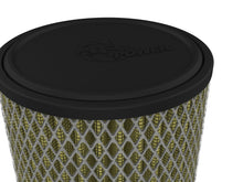 Load image into Gallery viewer, aFe 23-24 Speed UTV 1000cc (t) Aries Powersport OE Replacement Air Filter w/ Pro GUARD 7 Media aFe AFE80-10404G