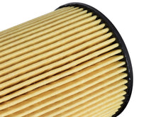 Load image into Gallery viewer, Pro GUARD HD Oil Filter RAM 1500 EcoDiesel 14-16 V6-3.0L (td) - aFe 44-LF035