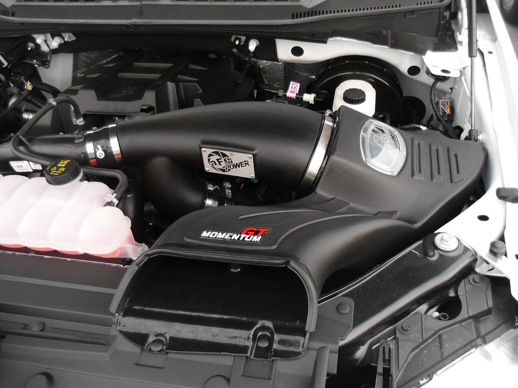 aFe Momentum GT Pro DRY S Intake System 2016 Ford F-150 EcoBoost V6-2.7L/3.5L (tt) aFe AFE51-73112-1
