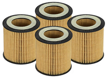 Load image into Gallery viewer, aFe Pro GUARD D2 Oil Filter 06-19 BMW Gas Cars L6-3.0T N54/55 - 4 Pack aFe AFE44-LF029-MB
