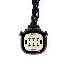 Load image into Gallery viewer, Product image 4 showing the AlphaRex wiring connectors identified as ARX601101.