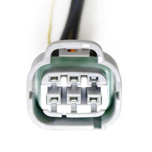 Load image into Gallery viewer, Product image 2 showing the AlphaRex wiring connectors identified as ARX810031.