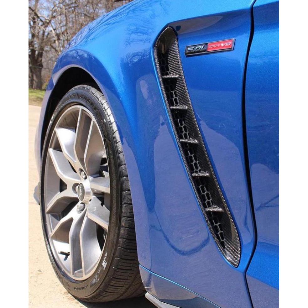 Anderson Composites 2015-2022 Mustang Carbon Fiber GT350 Style