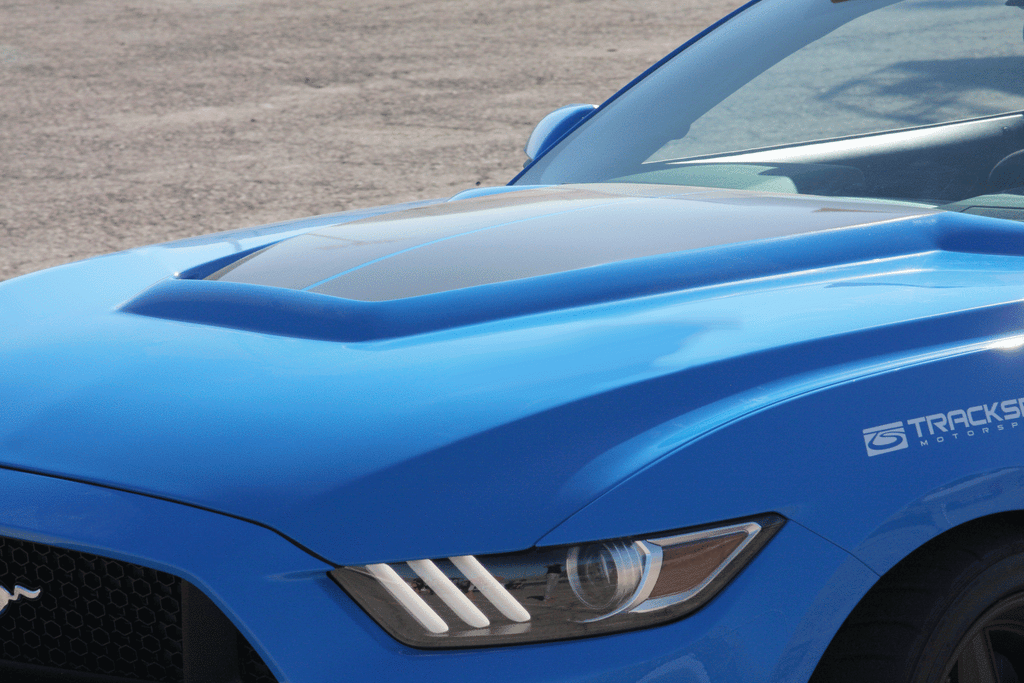 Anderson Composites Type-GR (GT350 Style) fiberglass hood 2015-2017 Ford Mustang - Anderson Composites AC-HD15FDMU-GR-GF