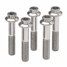 Load image into Gallery viewer, ARP 611-0515 1/4-20 12pt stainless bolts full view